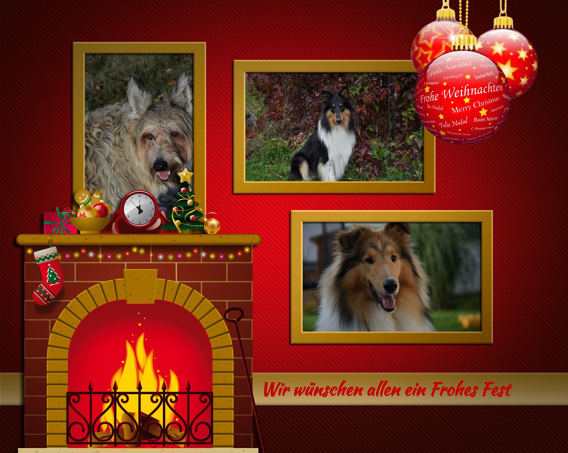 Wir wünschen alle Frohe Weihnachten und besinnliche Feiertage - www