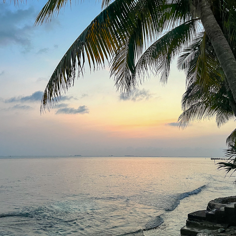 Yucatán: Playa del Carmen en Cozumel