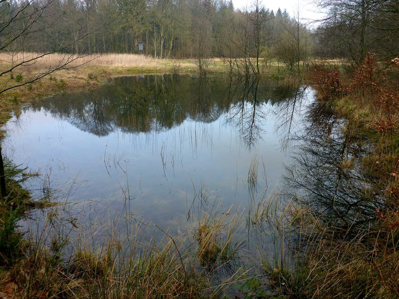 Nördlicher Teich im März 2022.