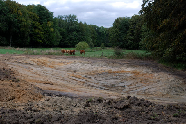 Neu angelegter nördlicher Teich September 2009.