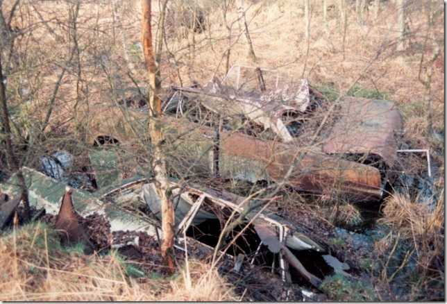 Bis in die 1980er Jahre diente das Dosenmoor als Schrottplatz zur illegalen Entsorgung alter Autos. Foto: UNB Neumünster