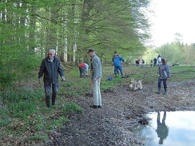 Arbeitseinsatz am Fledermauswald: Abbau alter Zäune, Pflanzung von Wildgehölzen, ...