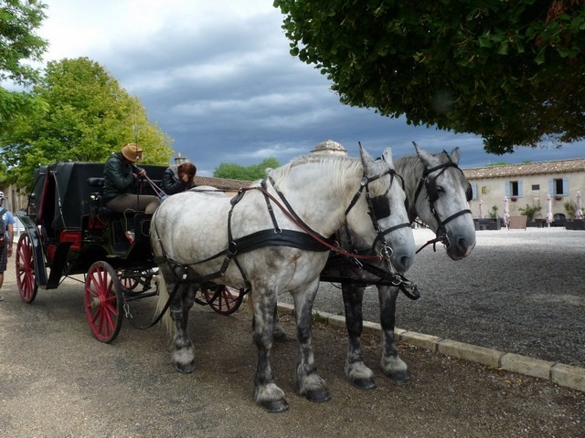 Calèche dans la citadelle, Blaye (Gironde) 9 août 2014