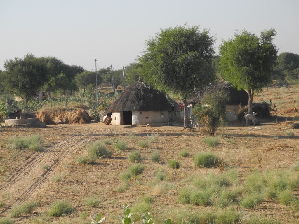 Unterwegs nach Jodhpur über Osian