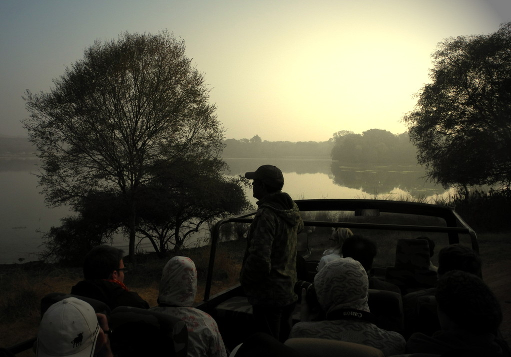Ranthambore - Warten auf den Tiger