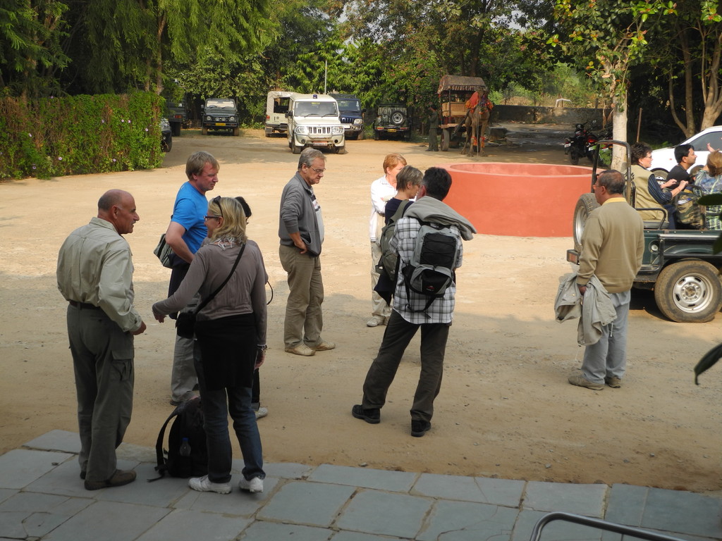 Ranthambore - 3. Safari