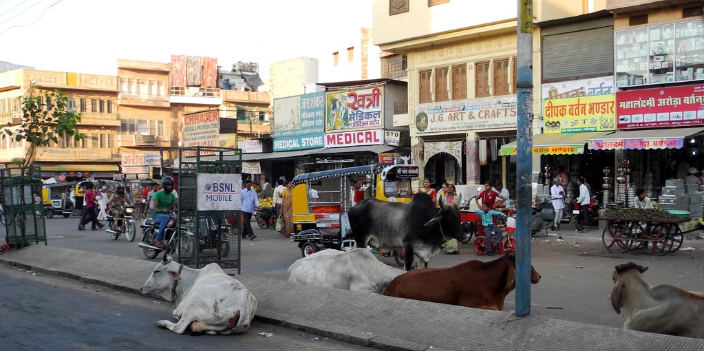 Jodhpur- Stadtspaziergang