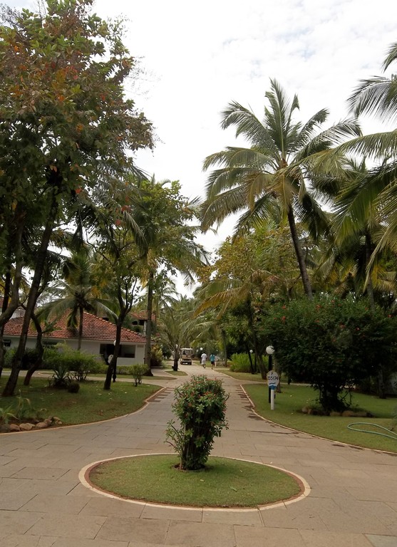 Hier gehts zu den Bungalows