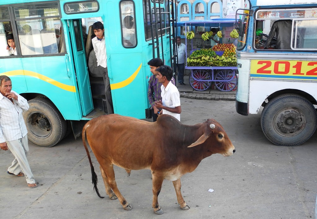 Unterwegs nach / on the way to / Bikaner