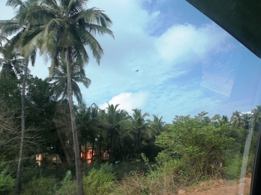 GOA - Unterwegs in den Norden