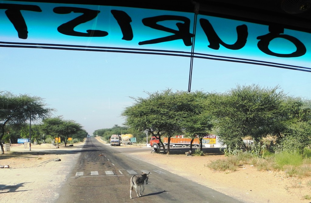 Unterwegs nach / on the way to / Bikaner