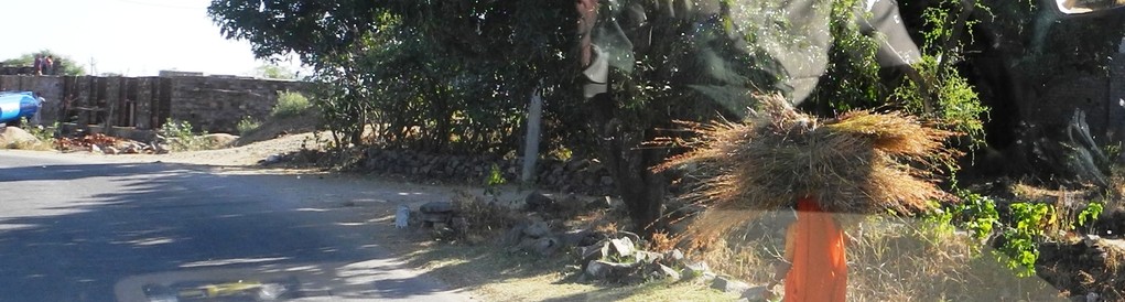 Unterwegs nach Udaipur