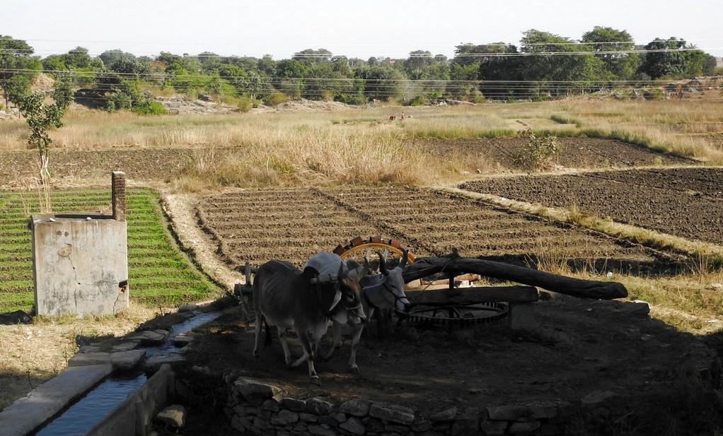 Unterwegs nach Udaipur