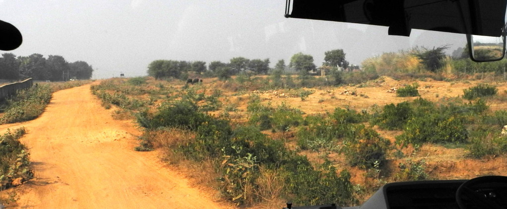 Unterwegs von Jaipur nach Ranthambore