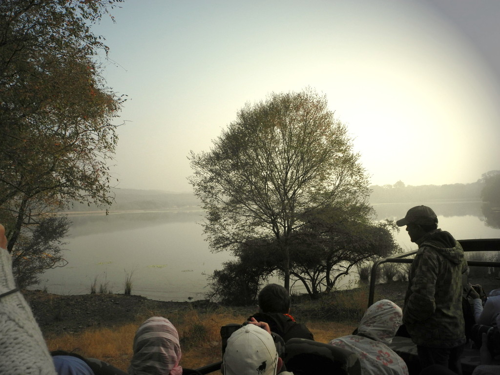 Ranthambore -Warten auf den Tiger