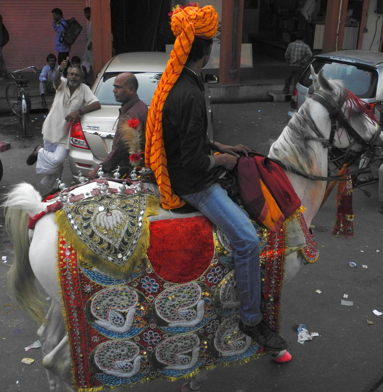 Jaipur - ein Bräutigam unterwegs