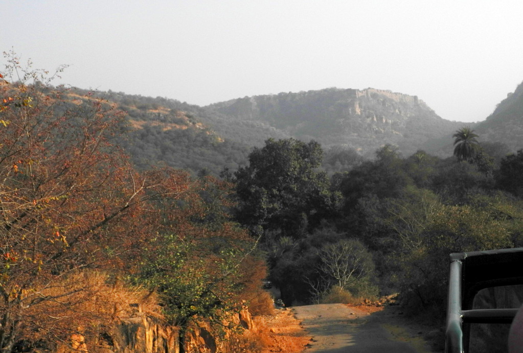 Ranthambore