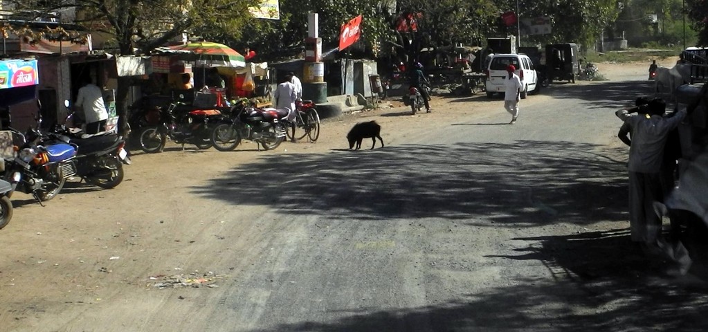 Unterwegs nach Ranakpur