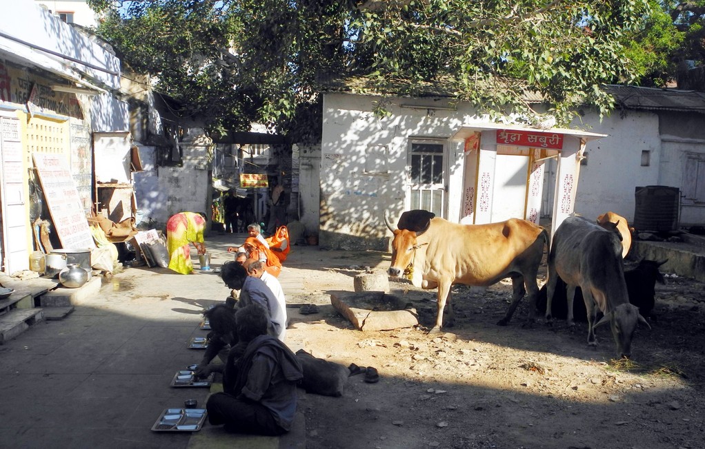 Udaipur - beim Jagdish Tempel - arme Leute kriegen eine Mahlzeit