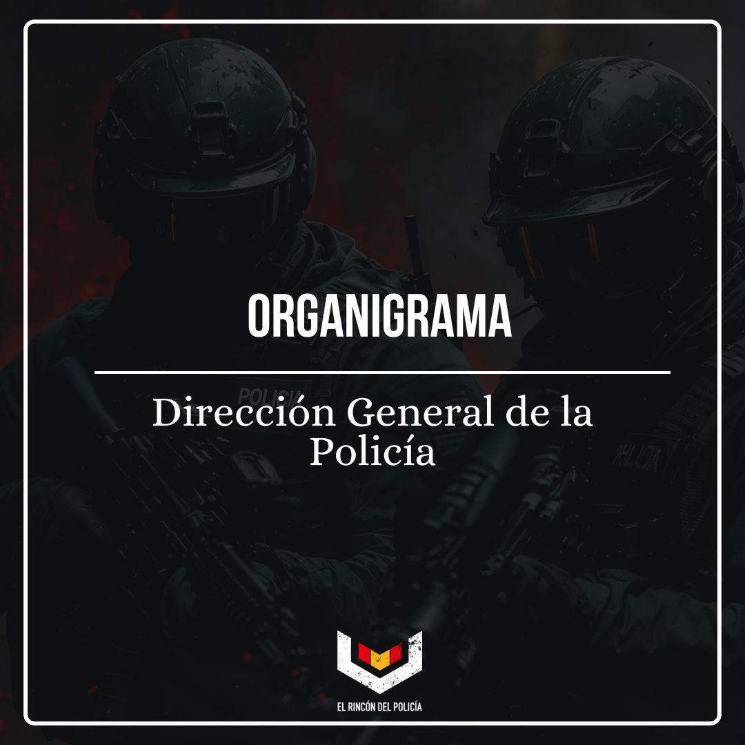 Organigrama DGP [Descarga GRATIS]