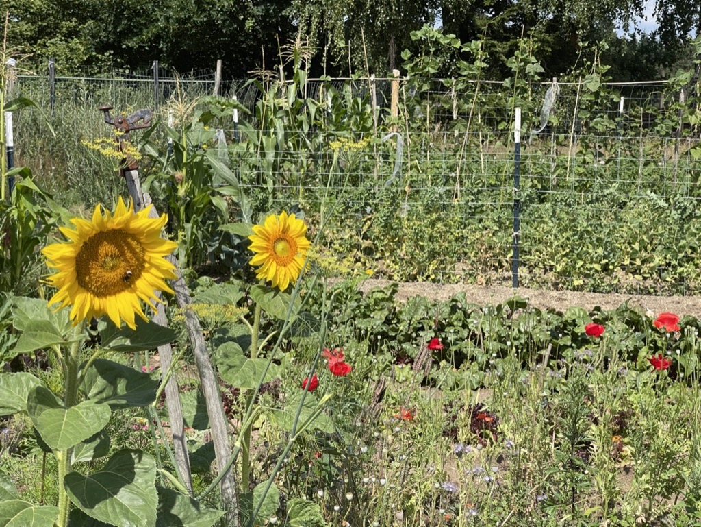 Vorbereitung auf das Gartenjahr