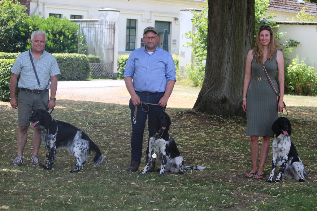 Bronze für vW Ihda vom Hermannshof 93/23 (links) | Gold für Chara vom Felsbachriet SHSB793659 (Mitte) | Silber für Desideria Heskers 171/24 (rechts).