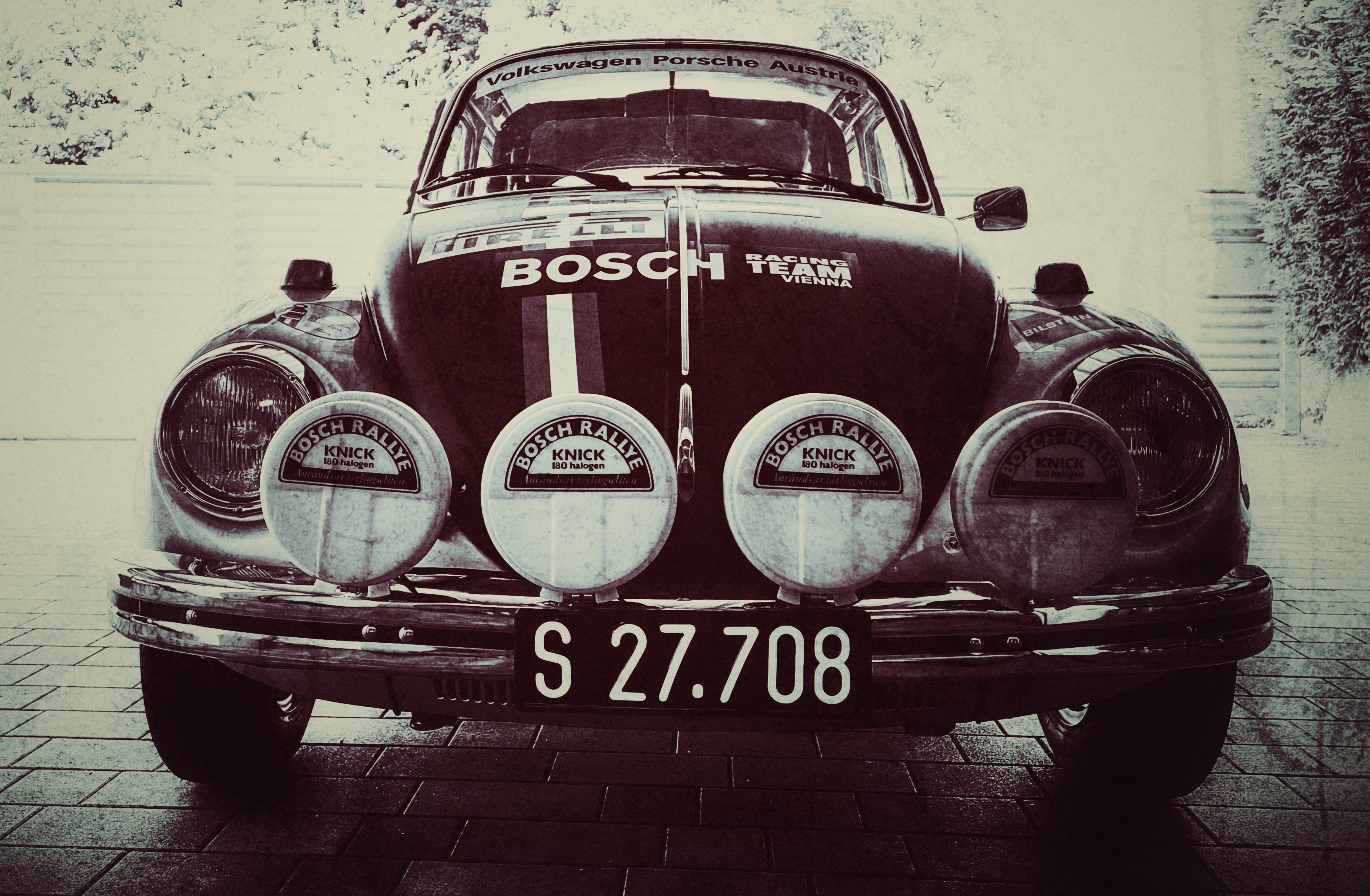 Copyright Salzburgkaefer.at (c) Salzburgkaefer.at