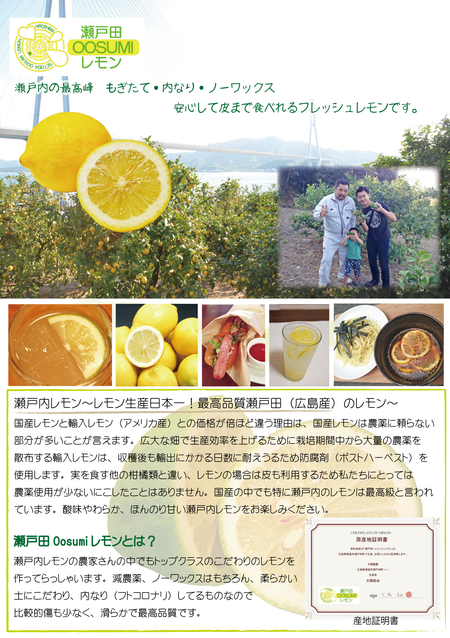 お得意様】瀬戸田OOSUMIレモン 今季販売開始しました - gankoya