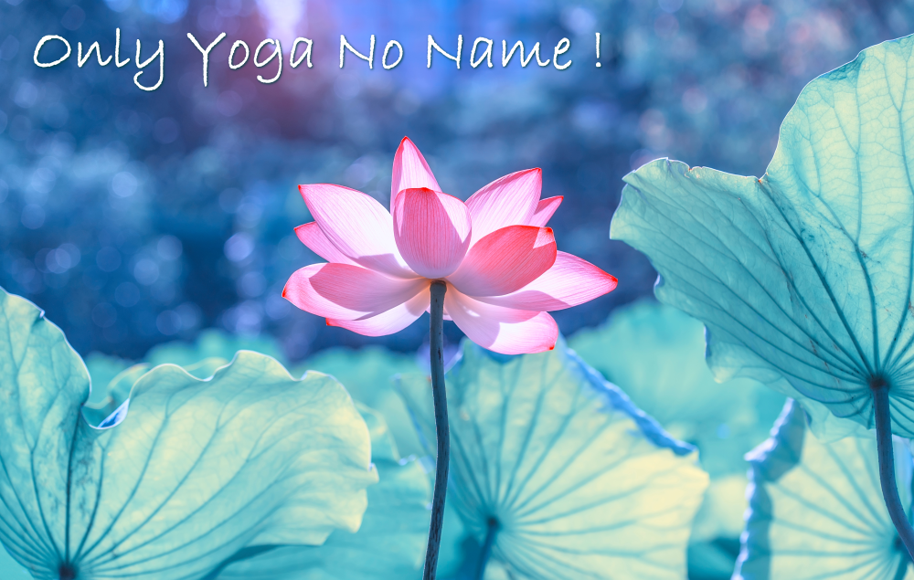 yoga ヨーガ ヨガ 堺市 貝塚市 岸和田市 松原市 高石市 大阪市 瞑想 呼吸法