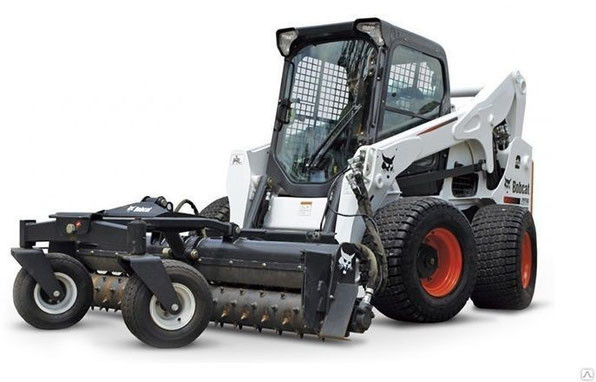 bobcat-1