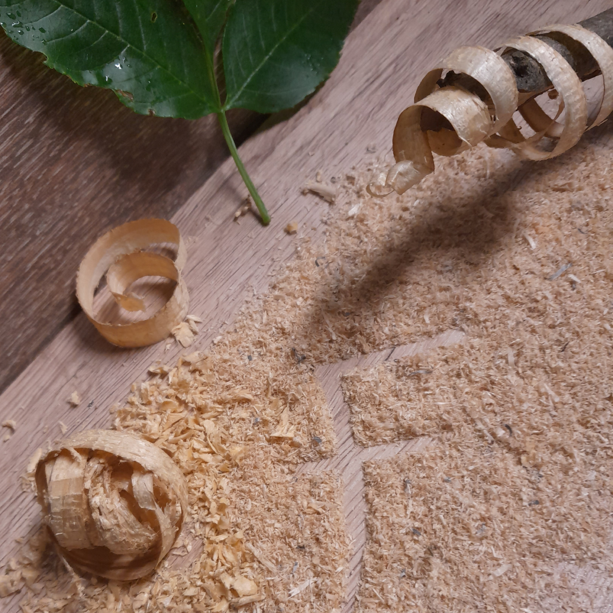 Gravure sur Bois