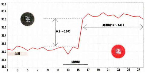 不妊周期療法の基礎体温表（by新潟市の子宝・不妊・妊活漢方薬専門店「西山薬局」）
