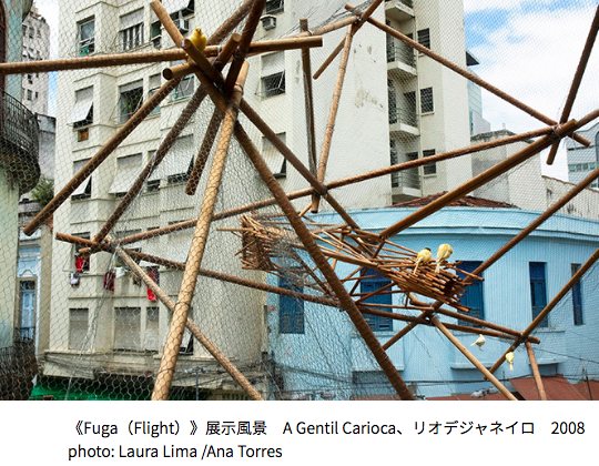 あいちトリエンナーレ2016」での緊急対応 - 飼い鳥のレスキュー団体