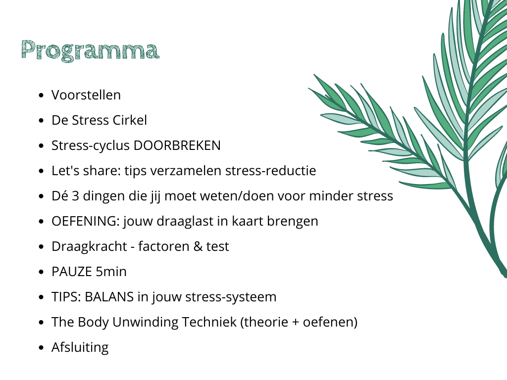 Programma Workshop nr.1 Stress Release "Body Unwinding"