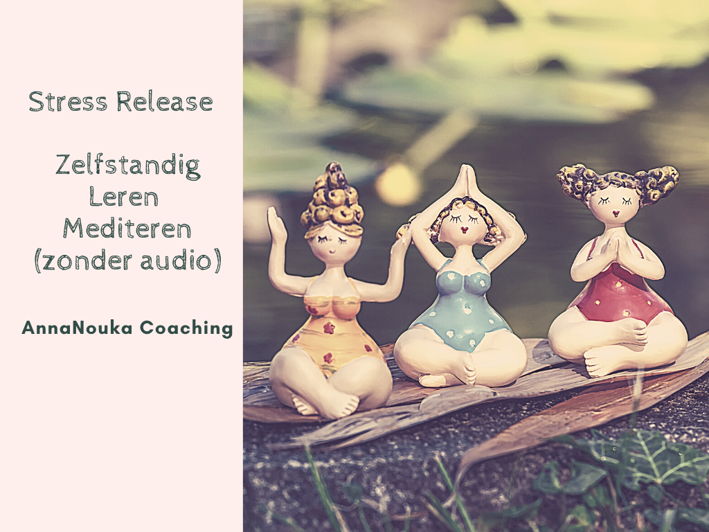 Workshop nr.2 Stress Release "Zelfstandig Leren Mediteren"
