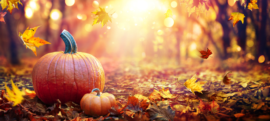 Der Herbst, der nie unschuldig war. Thanksgiving, Pocahontas und die Geschichten, die uns nie erzählt wurden.
