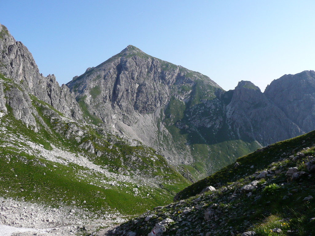 Liechelkopf total