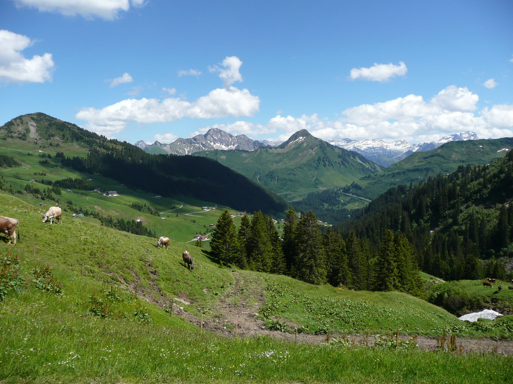 Aussichtsbalkon Ragaz Alpe