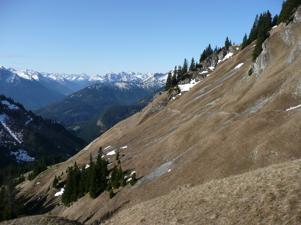Unterhalb des Alpenrosenweg