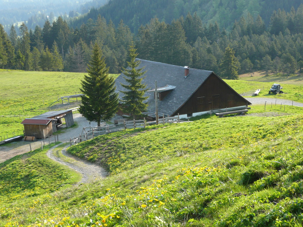 Die Sattel Alpe die sich für eine Einkehre anbietet