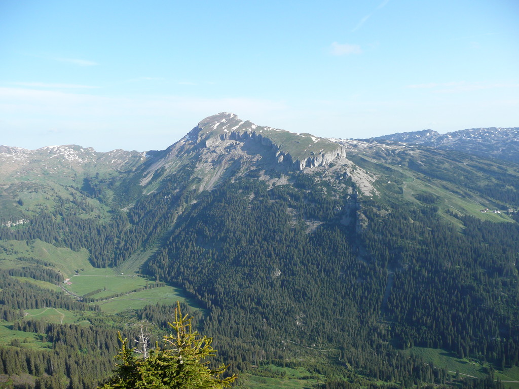 Blick vom Walmendingerhorn zum Hohen Ifen
