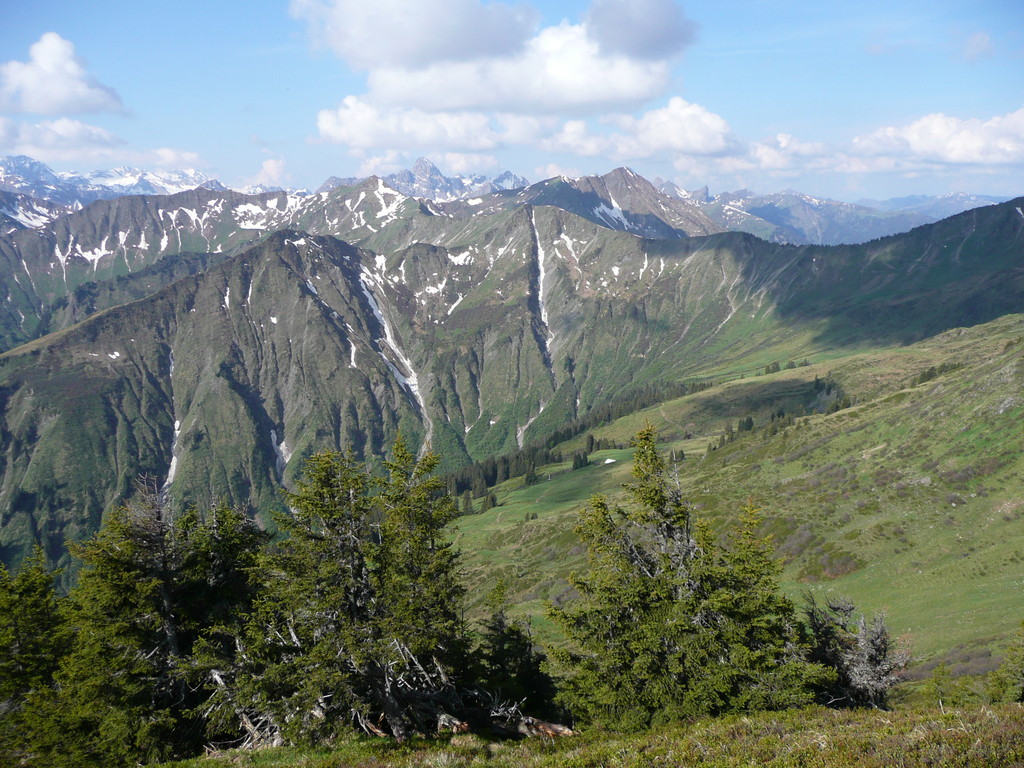 Blick zum Hochstarzel