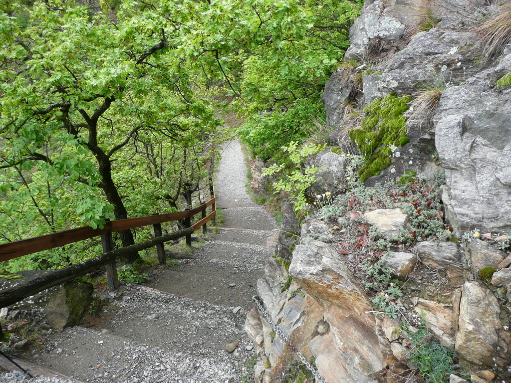 Steiler Abschnitt am Sonnenberger Panoramaweg