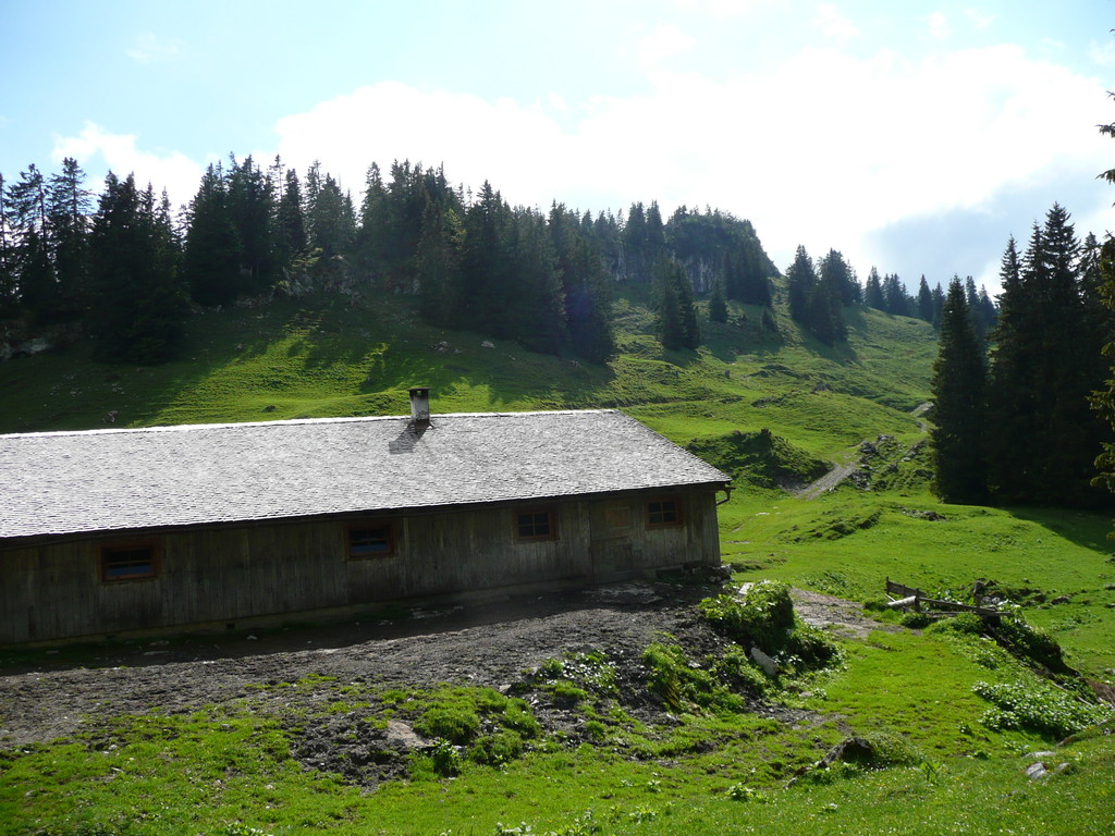 Die Obere Sattelalpe