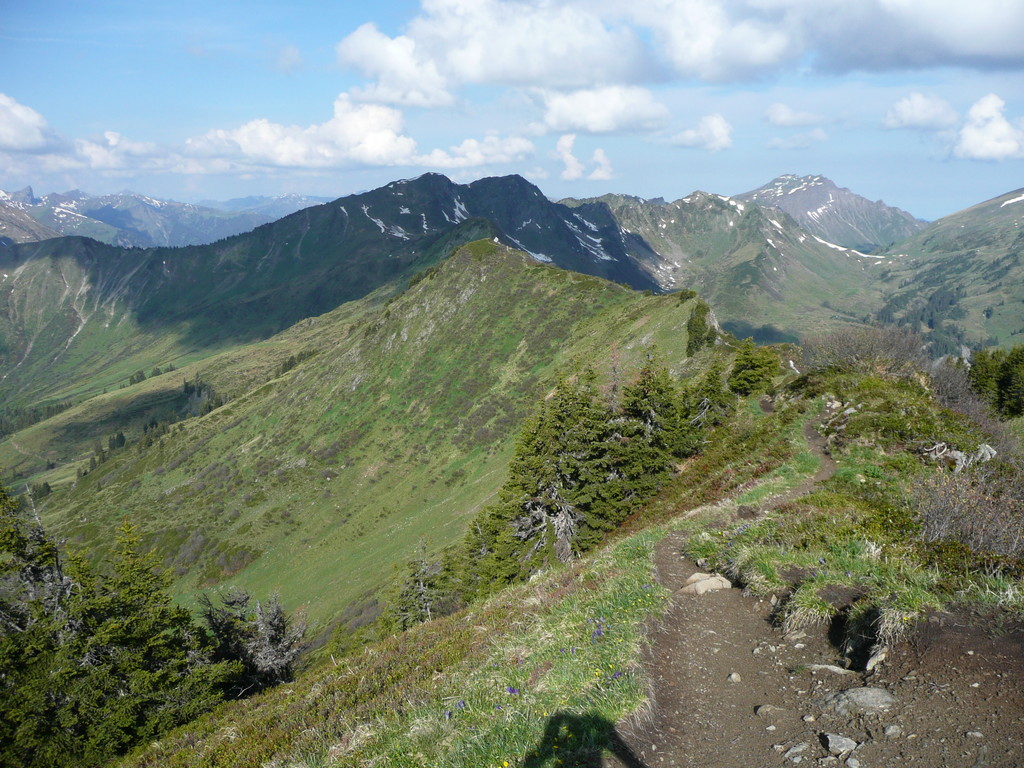 Der Weiterweg vom Lüchlekopf