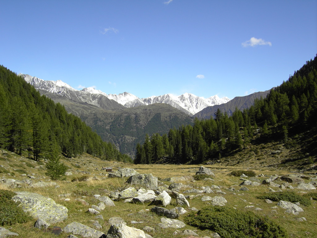 Blick Richtung Similaun