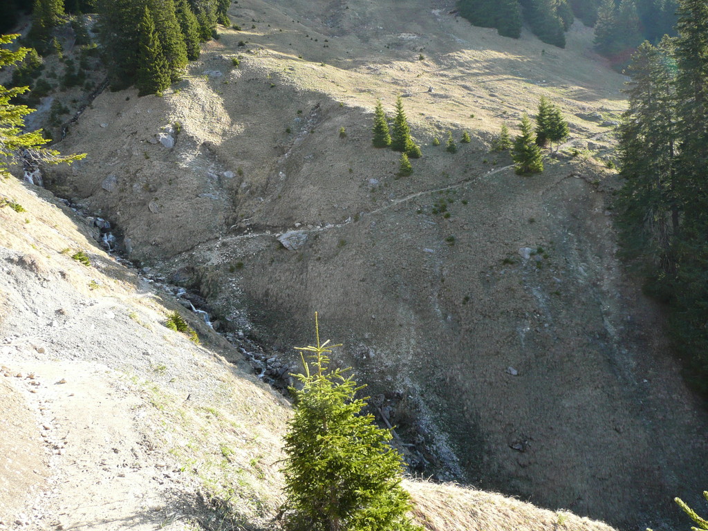 Weg Richtung Schneetalalpe