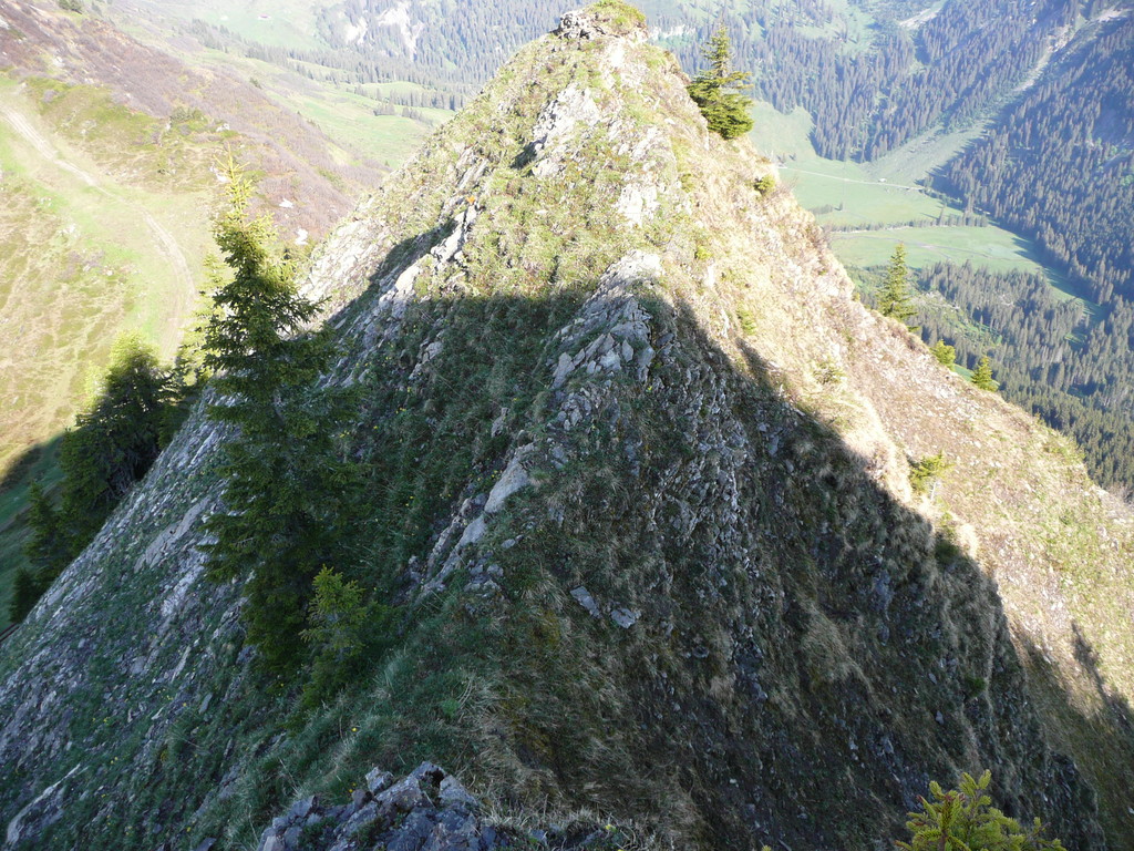 Gratweg zwischen Walmendingerhorn und Muttelbergkopf