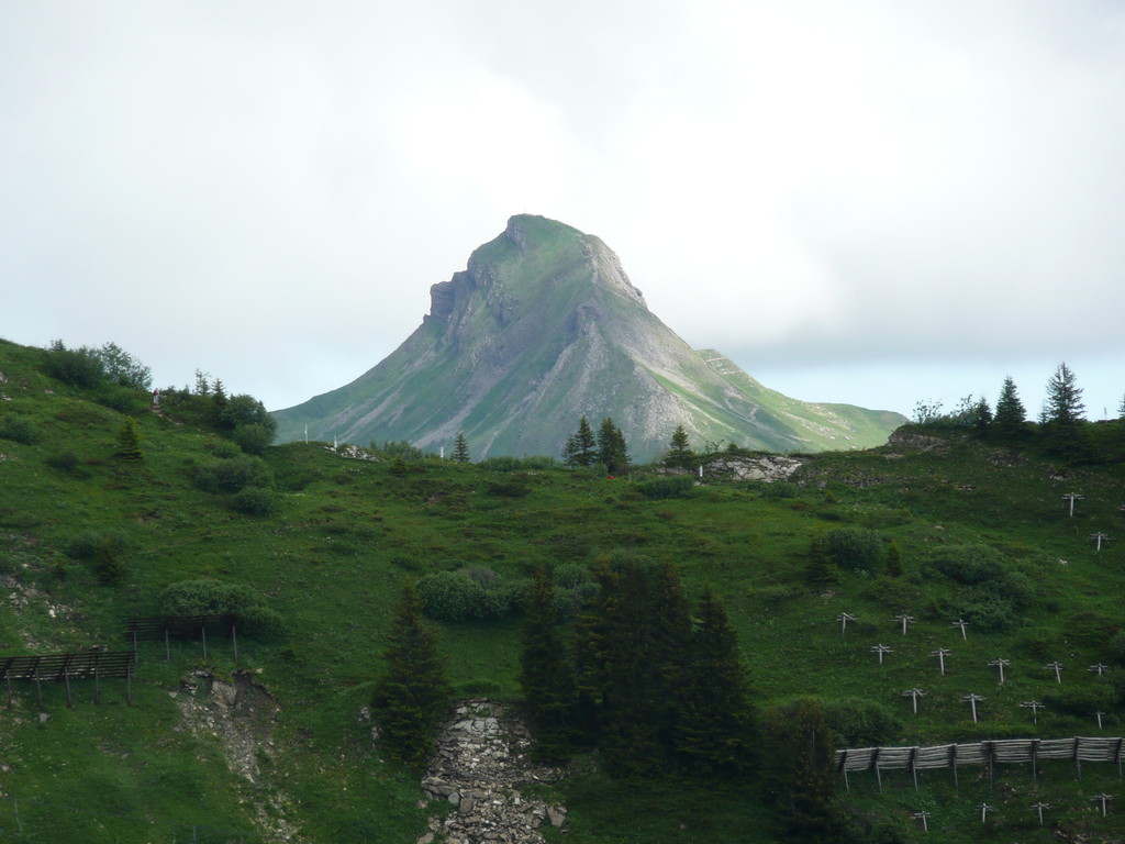 Blick zur Damülser Mittagsspitze