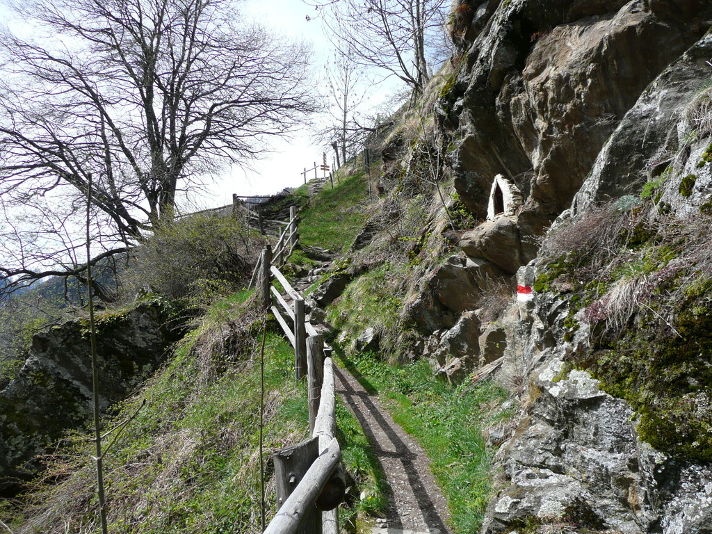 Holzzaun am Meraner Höhenweg